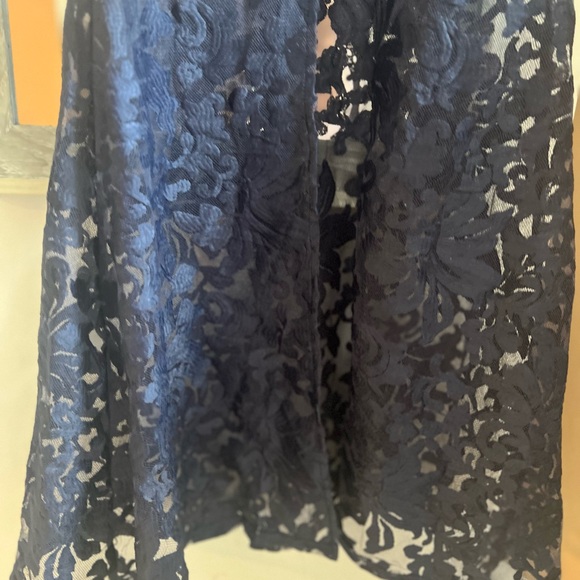 Elegant Navy Lace Dress - Picture 2 of 4